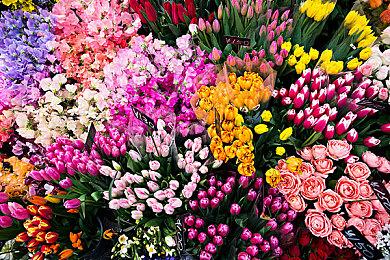 腾讯视频“胆小模式”火了 网友实测：看恐怖片神器